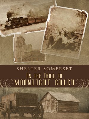 cover image of On the Trail to Moonlight Gulch